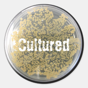 Bacterial Culture Plate Sticker