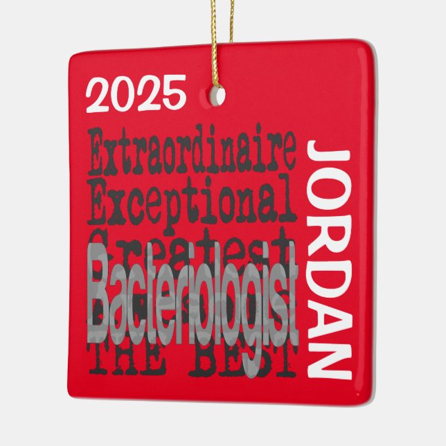 Bacteriologist Extraordinaire CUSTOM Ceramic Ornament (Left)
