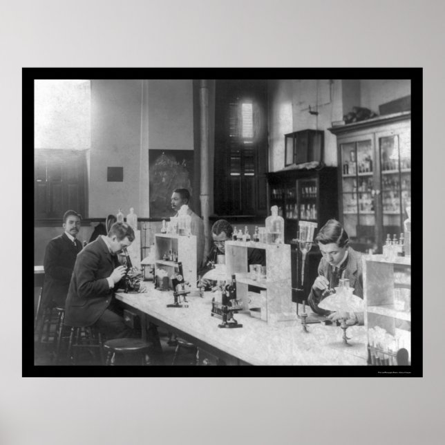Bacteriology Lab at Howard Univiversity 1900 Poster (Front)
