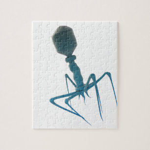 bacteriophage jigsaw puzzle