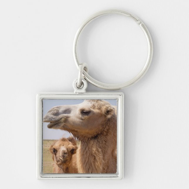 Bactrian Camel Portrait Key Ring (Front)
