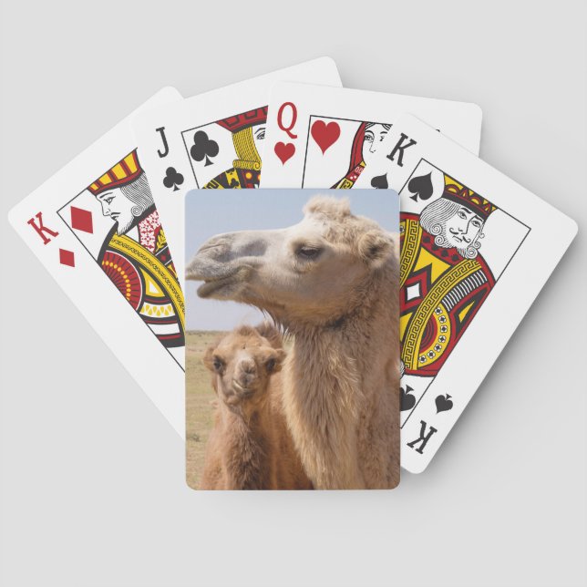 Bactrian Camel Portrait Playing Cards (Back)