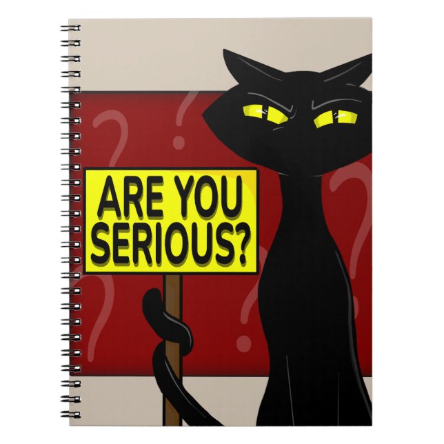 Bad Boogie Funny Notebook - Are You Serius? (Front)
