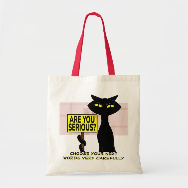 Bad Boogie Funny Tote Bag - Are you serius? (Front)