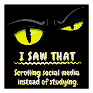 Bad Boogie The Cat  Student Sarcastic College  Poster