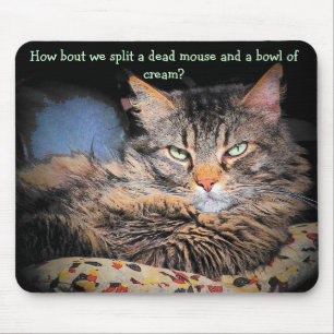 Bad Cat pick up lines #1 Mouse Pad