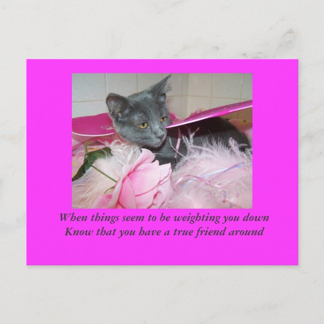 bad day card. postcard (Front)