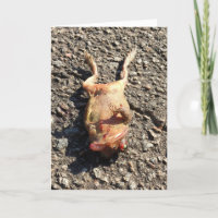 bad day greeting card