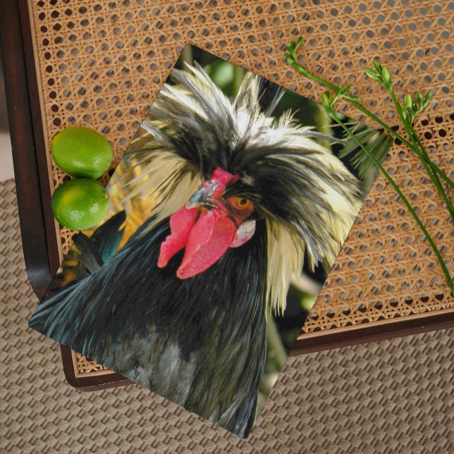 Bad Hair Chicken Funny Birthday Card (In Situ)