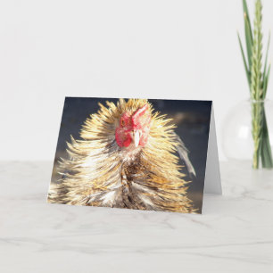 Bad Hair Day Card