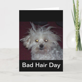 Bad Hair Day - Dog and People Humour Card