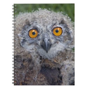 Bad Hair Day Notebook