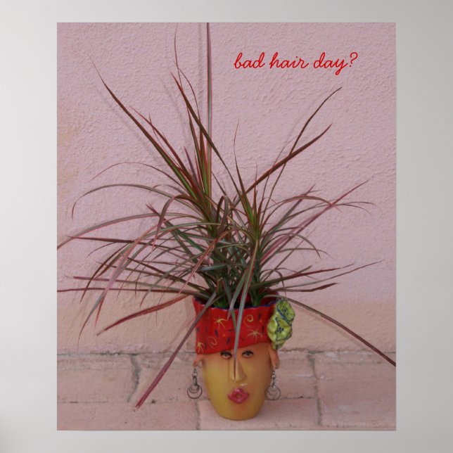 bad hair day? poster (Front)