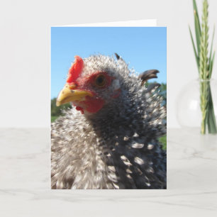 Bad Hair Day Sometimes Card