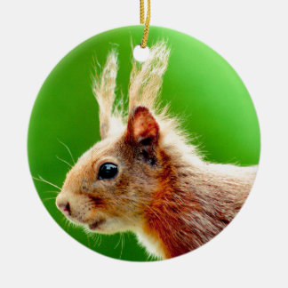 Bad hair day squirrel ceramic tree decoration