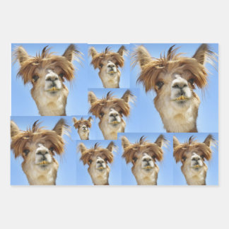 Bad Hair Day  Wrapping Paper Sheet