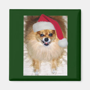 Bad Santa Christmas magnet