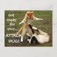Badass Cats - Attack hug