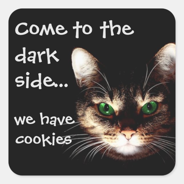 Badass Cats - "Dark Side has Cookies" Square Sticker (Front)