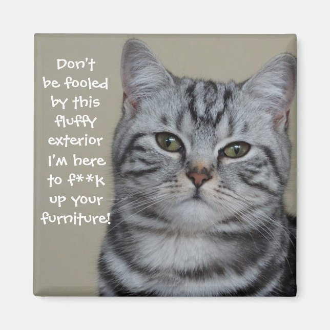 Badass Cats Magnet (Front)