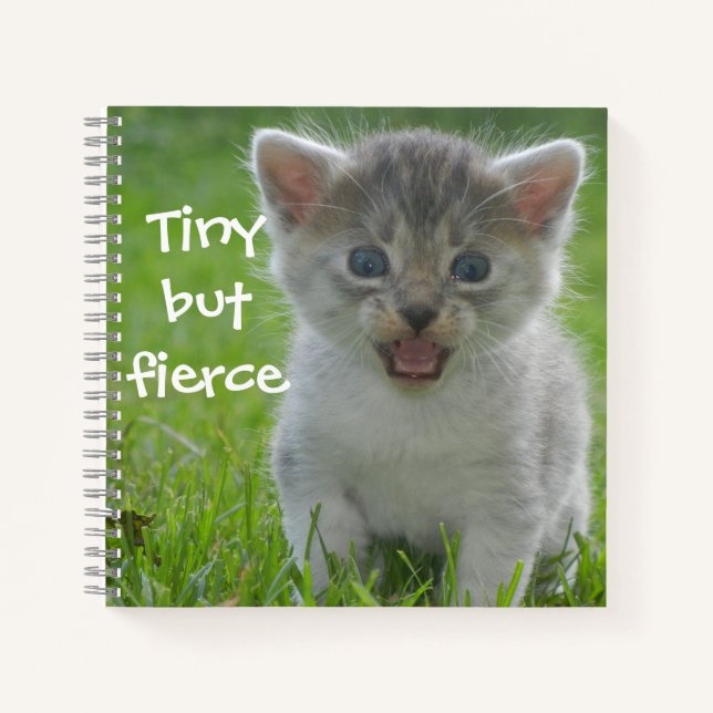 Badass Cats - "Tiny but Fierce" Kitten Notebook (Front)