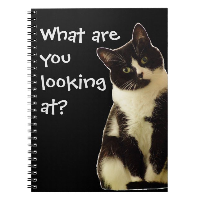 Badass Cats " What are you looking at! " Notebook (Front)