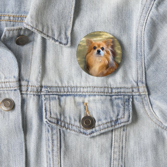 Badge Chihuahua Photo Fashion Pin (In Situ)