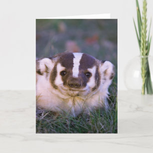 Badger Card