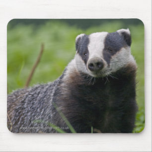 Badger Mousemat