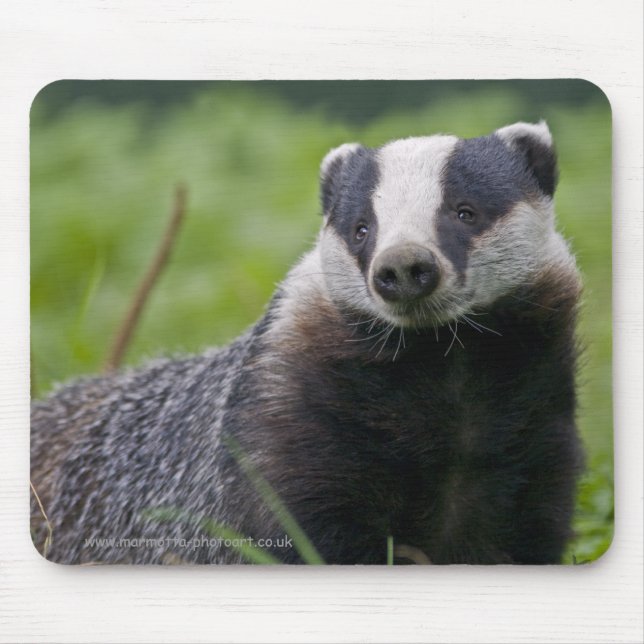 Badger Mousemat (Front)