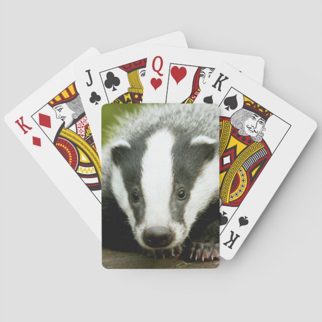 Badger - Stunning pro photo! Playing Cards (Back)