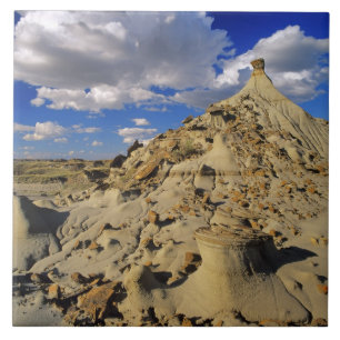 Badlands at Dinosaur Provincial Park in Alberta, 3 Tile