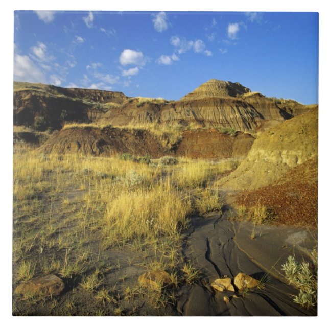 Badlands at Dinosaur Provincial Park in Alberta, Tile (Front)