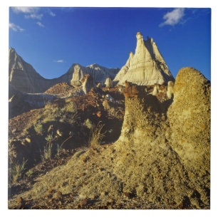 Badlands formations at Dinosaur Provincial Park 2 Tile