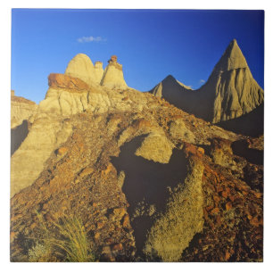 Badlands formations at Dinosaur Provincial Park 6 Tile