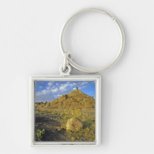 Badlands formations at Dinosaur Provincial Park Key Ring
