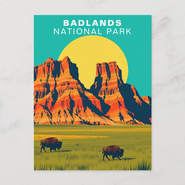 Badlands National Park South Dakota USA Buffalo Postcard (Front)