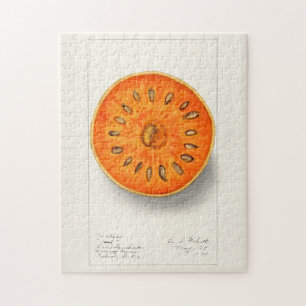 Bael (Aegle Marmelos) Fruit Watercolor Painting Jigsaw Puzzle