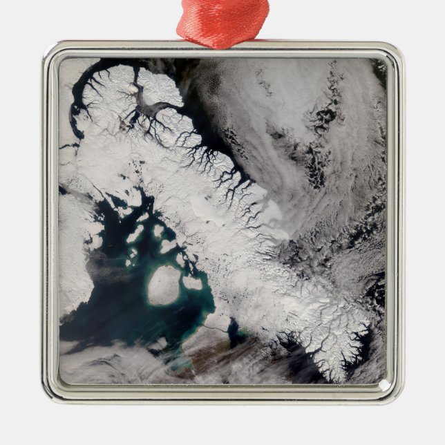 Baffin Island Metal Tree Decoration (Front)