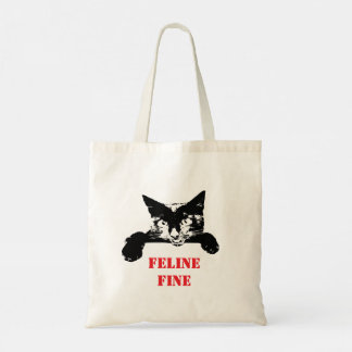 Bag for cat fan.