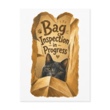 Bag Inspection in Progress Cute Cat