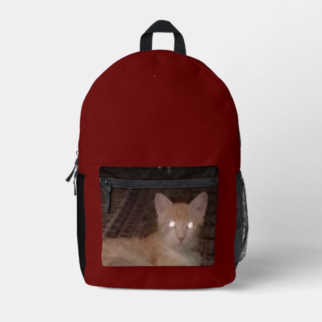 Bagpack kids back to school printed backpack (Front)