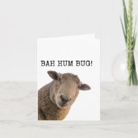 Bah Hum Bug, Funny, Cute, Sheep, Christmas Card