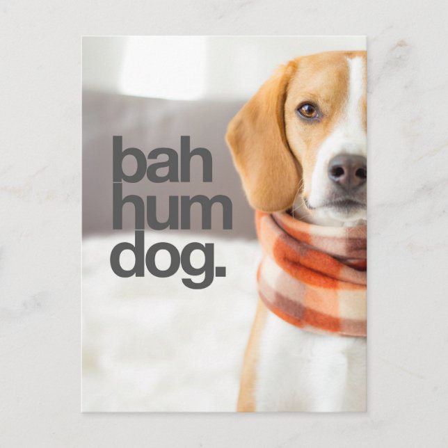 "Bah Hum Dog" Beagle Postcard (Front)