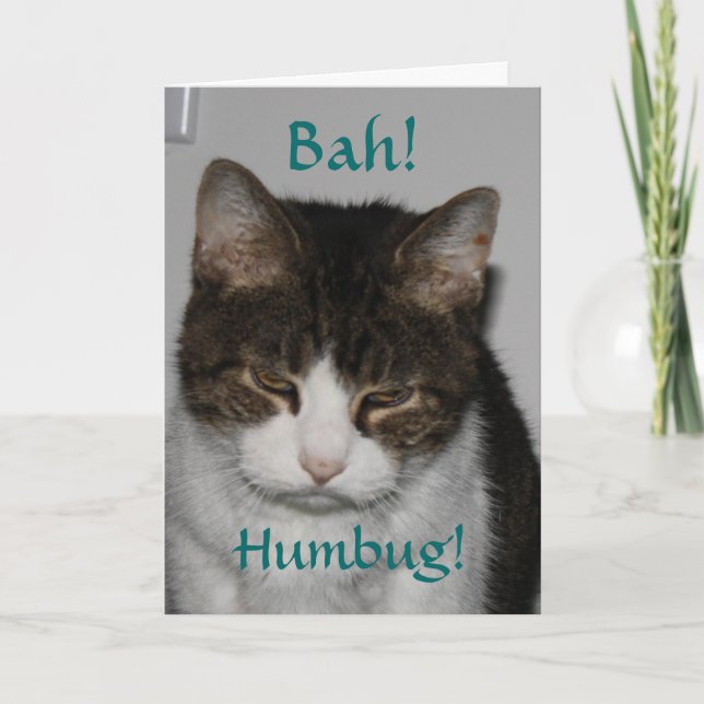 Bah! Humbug! - Cat's Holiday Greeting Card (Front)