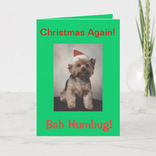 Bah Humbug doggie tshirt Holiday Card