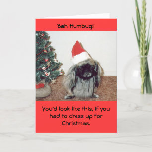 Bah Humbug! Holiday Card