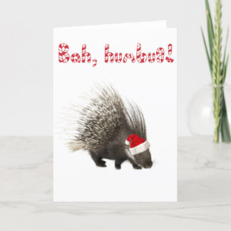 Bah, humbug! Porcupine card