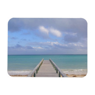 BAHAMAS, Grand Bahama Island, Eastern Side: Magnet