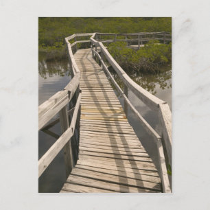 BAHAMAS, Grand Bahama Island, Eastern Side: Postcard